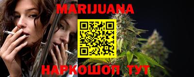 сатива Кингисепп
