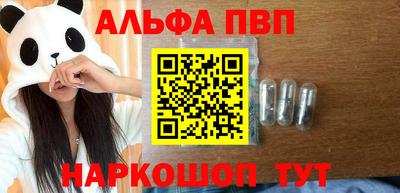 сатива Кингисепп